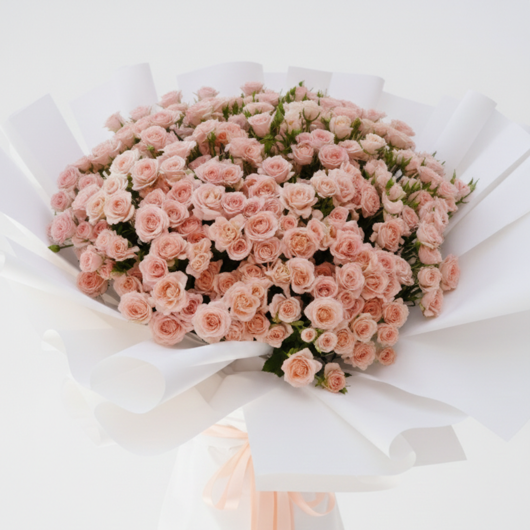 Maestoso Rosa
